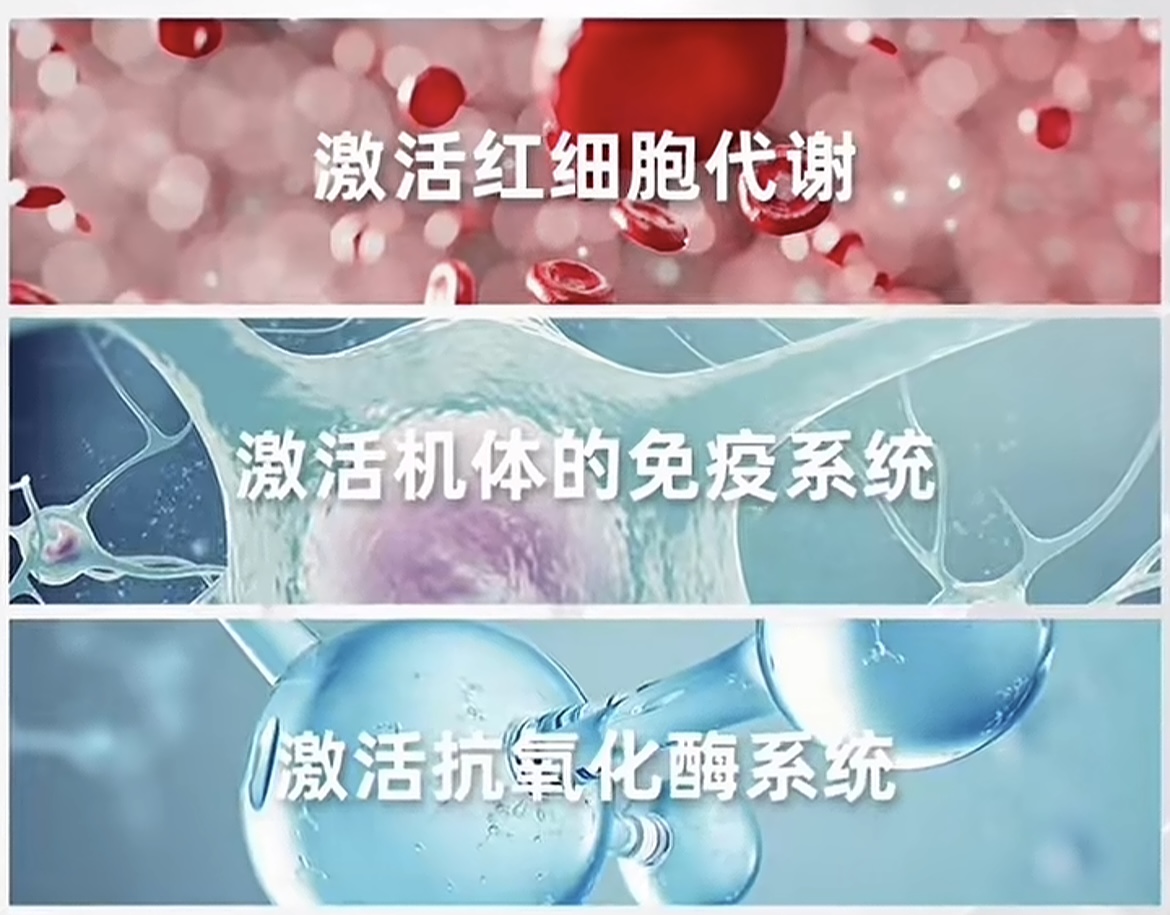 微信图片_20250917081114